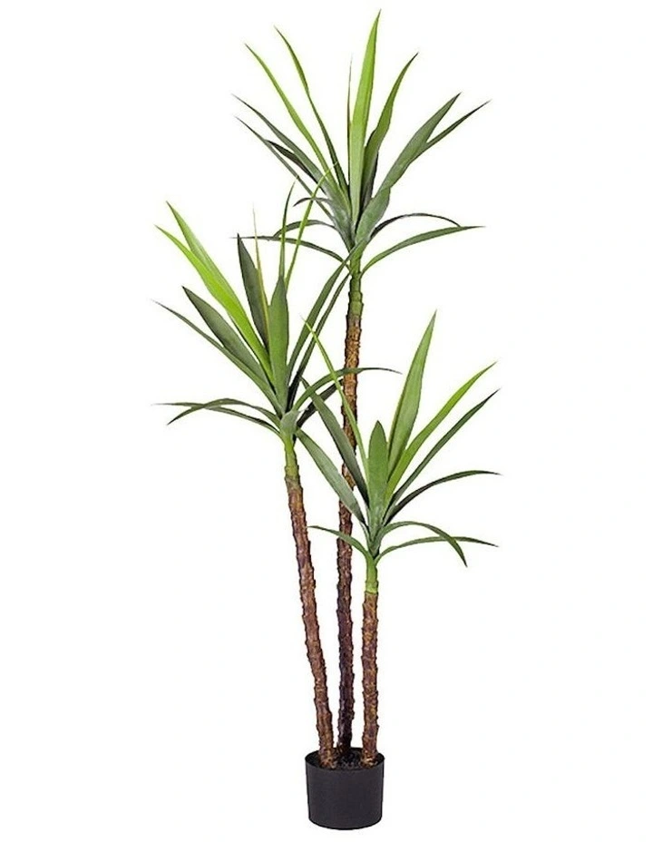 Artificial Dracaena Yucca Tree 150cm in Assorted