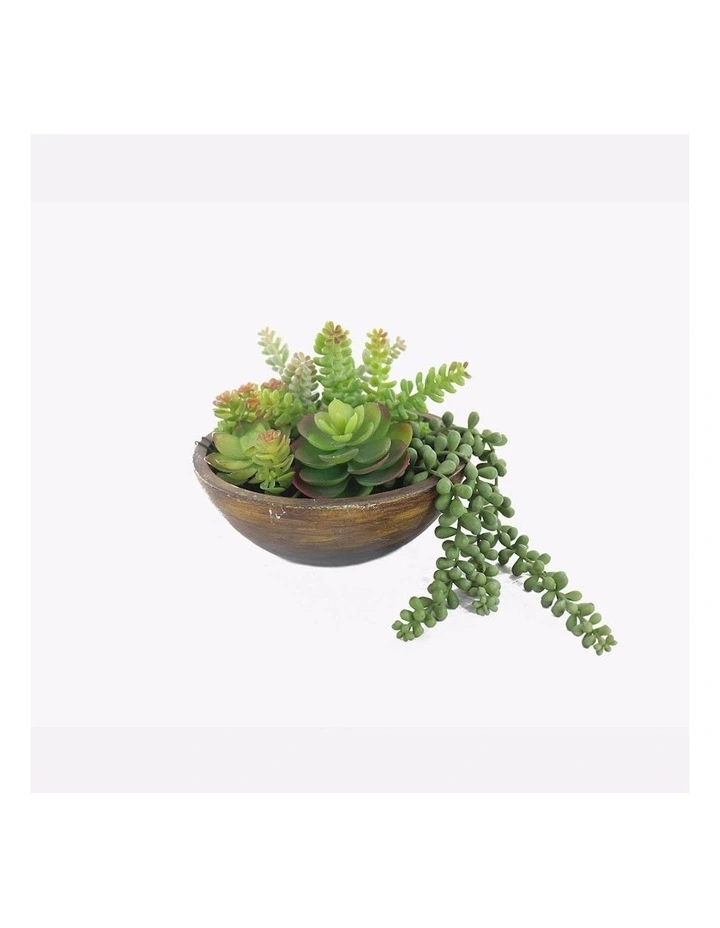 Artificial Succulent Plant in Pot in Green/Natural