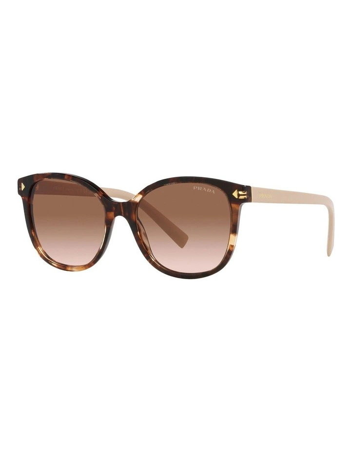 PR22ZSF Sunglasses in Tortoise