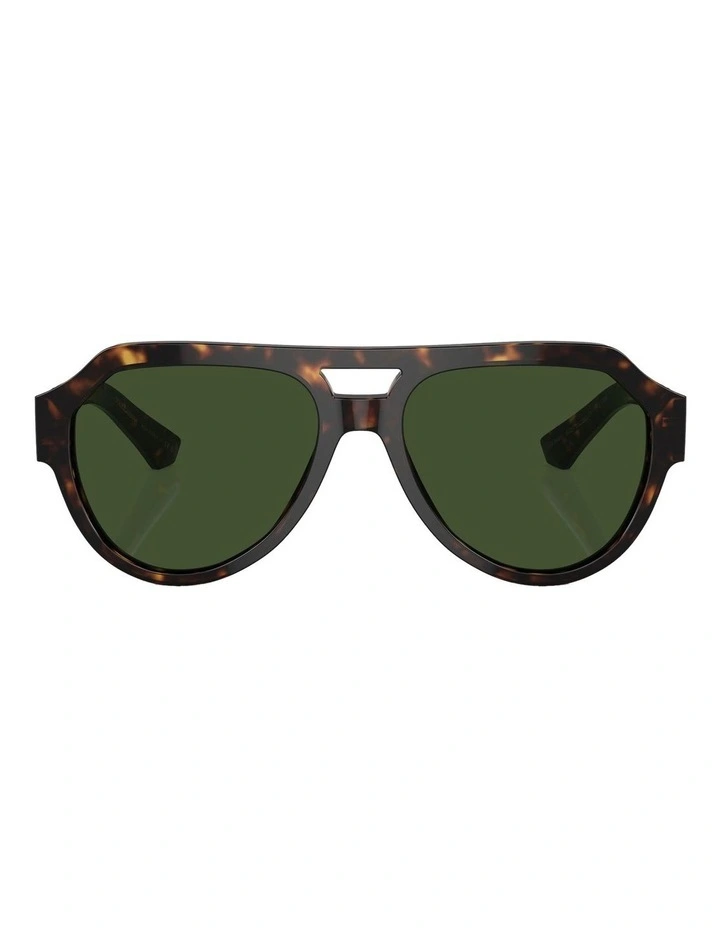 DG4466 Sunglasses in Tortoise