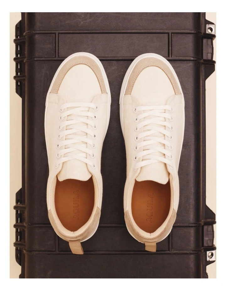 Roy Canvas Sneakers in Cream