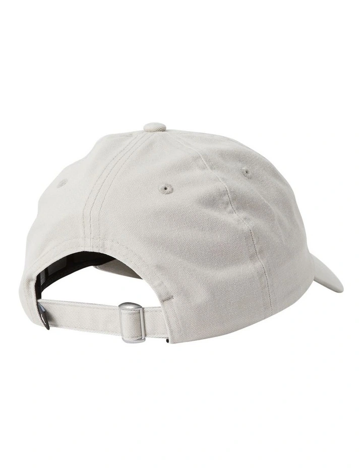 Rad Splatter Dad Cap in Stone