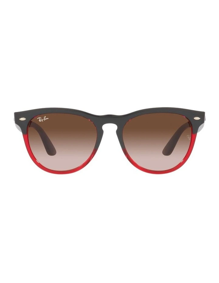 IRIS Sunglasses In Black