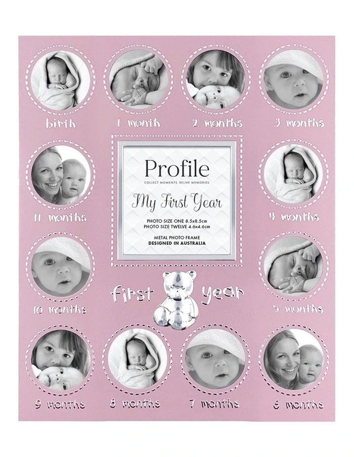 My First Year Metal Baby Frame 13 Photos in Pink