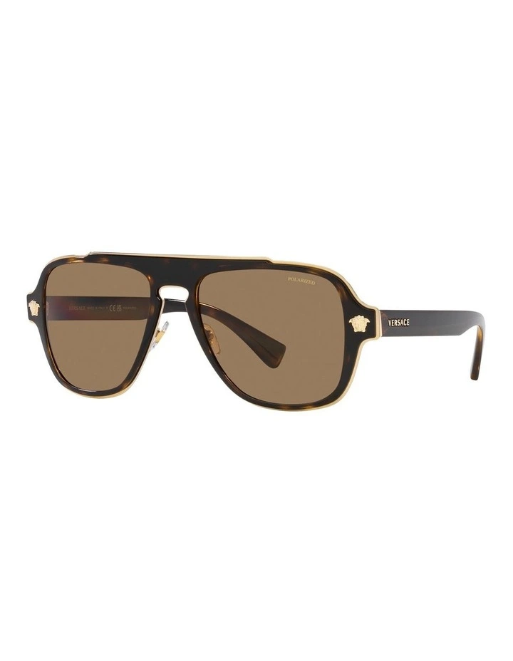 VE2199 Polarised Sunglasses in Tortoise