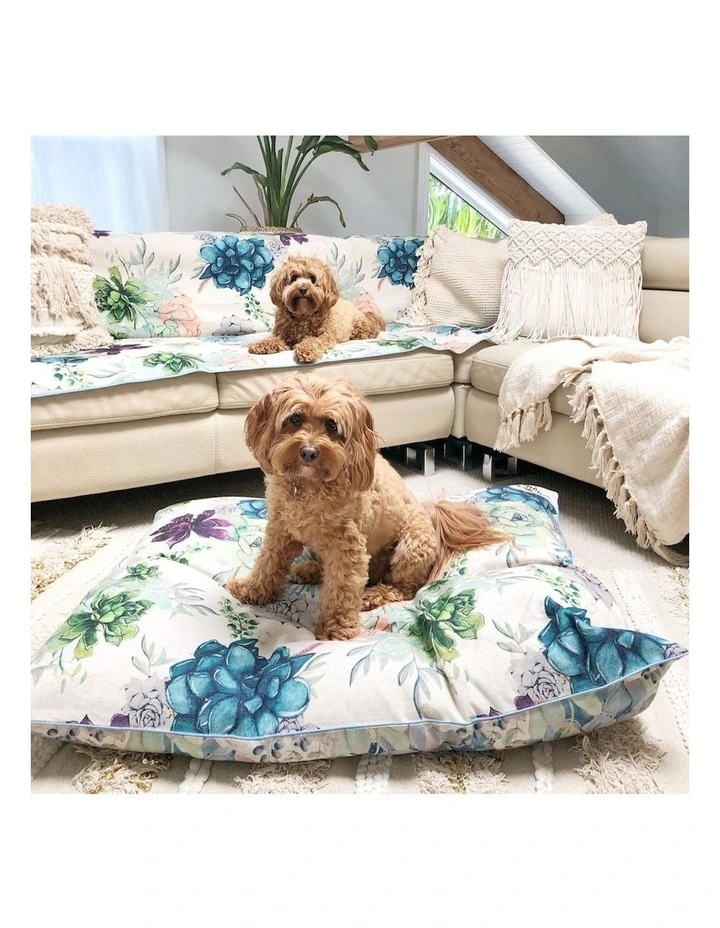 Succulent Medley Couch Throw
