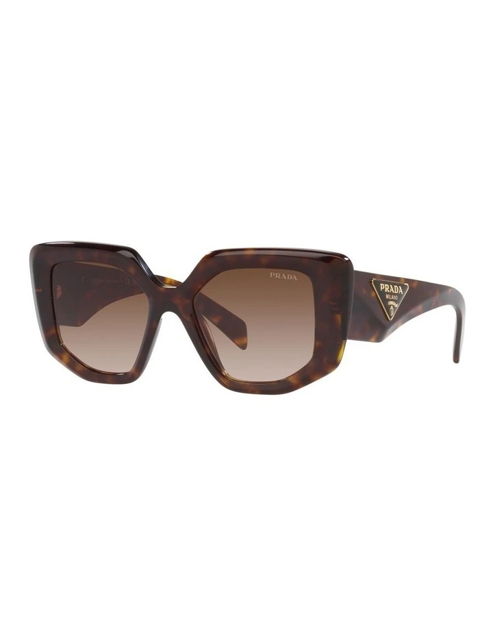 0PR 14ZSF Sunglasses in Tortoise