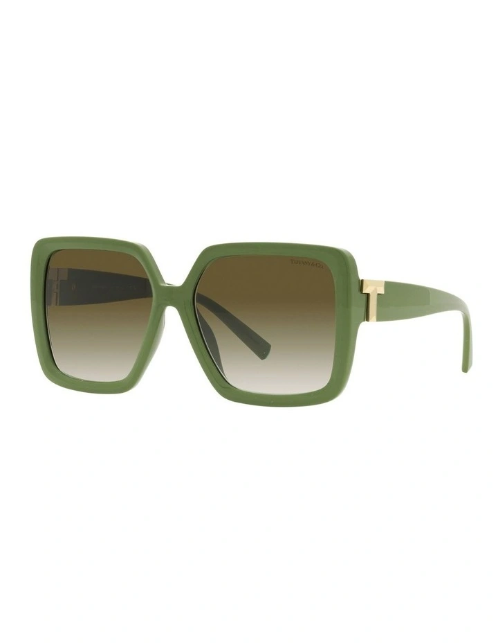 TF4206U Sunglasses in Brown