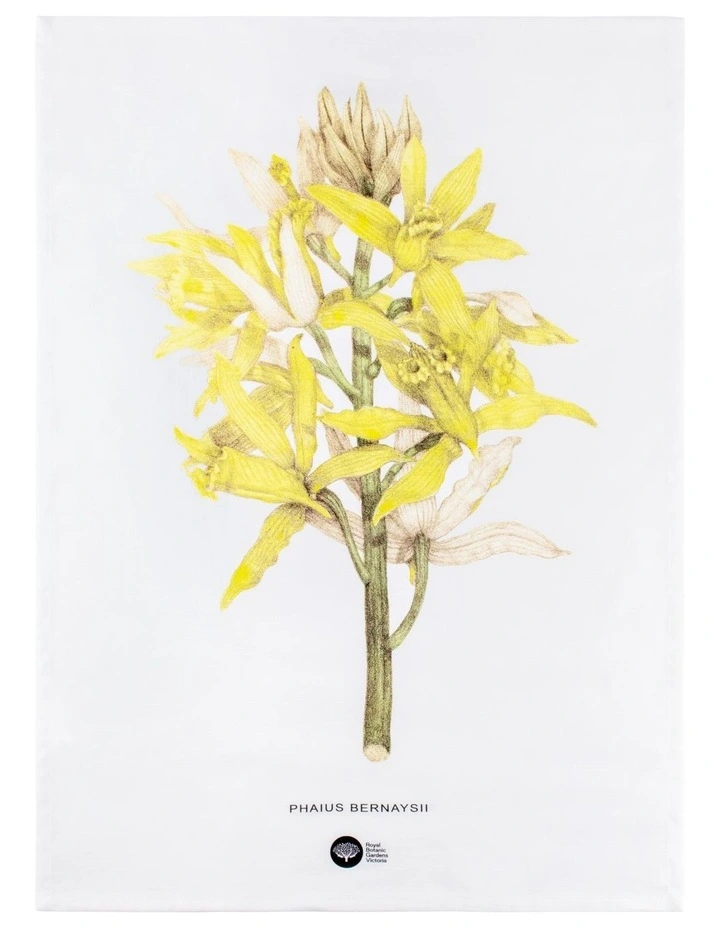 Royal Botanic Gardens Australian Orchids Tea Towel 50x70cm in Yellow