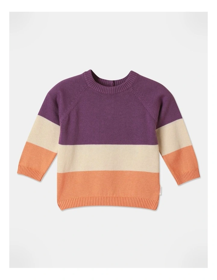 Knit Raglan Colour Block Jumper in Deep Purple