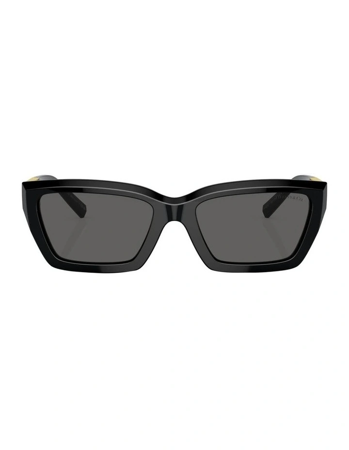 TF4213 Sunglasses in Black