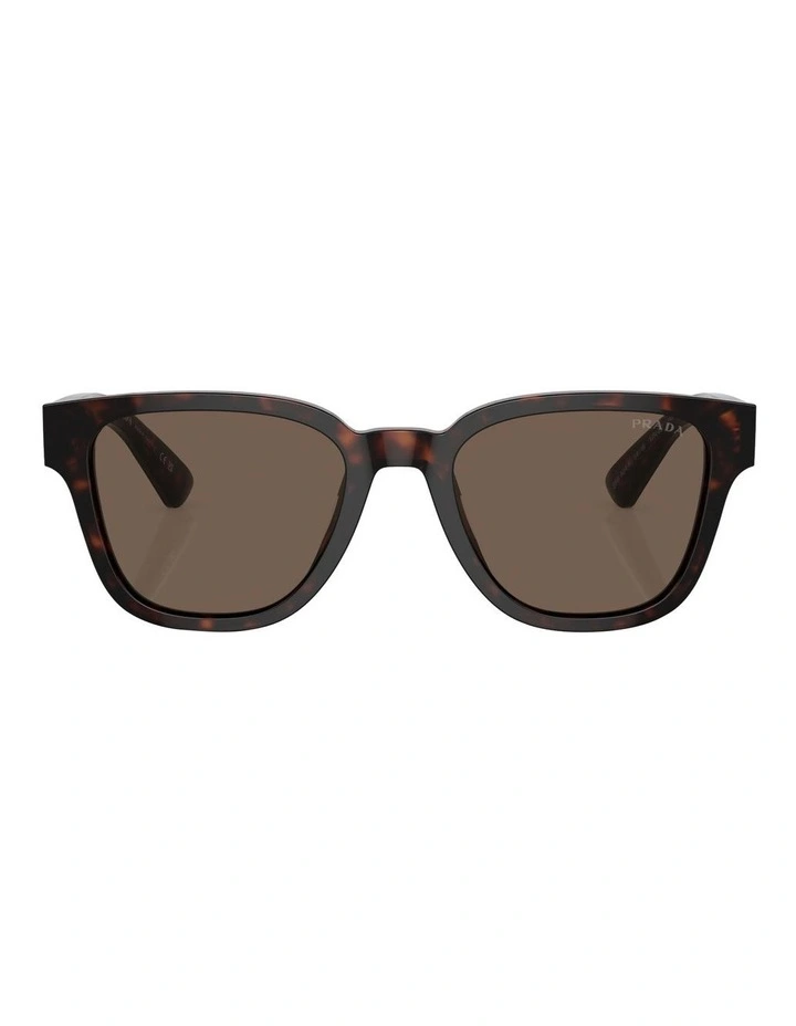 PR A04SF Sunglasses in Tortoise
