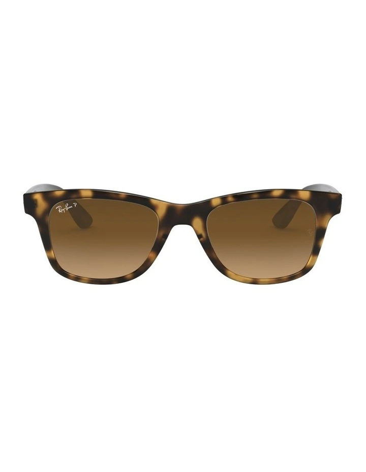 RB4640 Brown Polarised Sunglasses