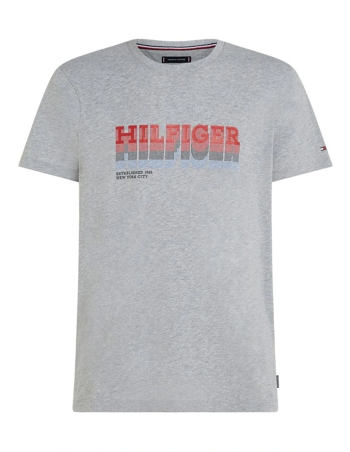 Big & Tall Fade Hilfiger Tee in Grey