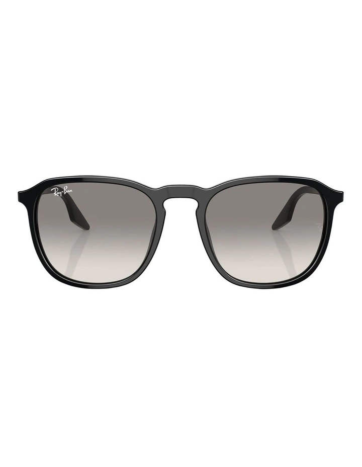 RB2203 Sunglasses in Black
