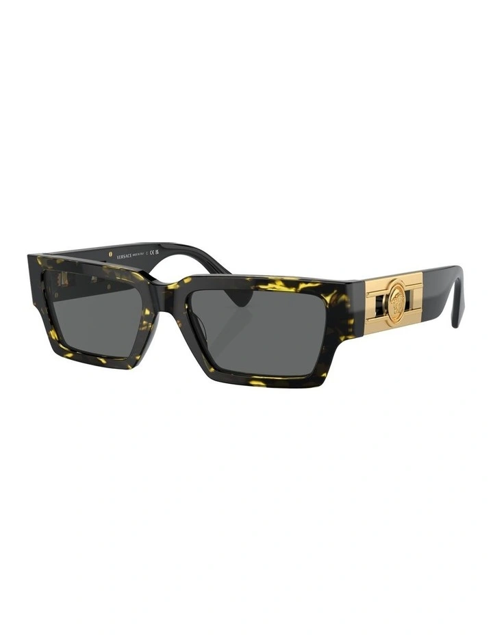 VE4459 Sunglasses in Tortoise