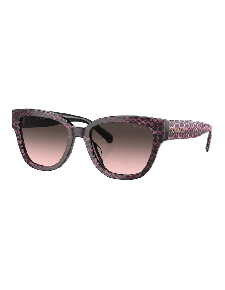 CL920 Sunglasses in Red