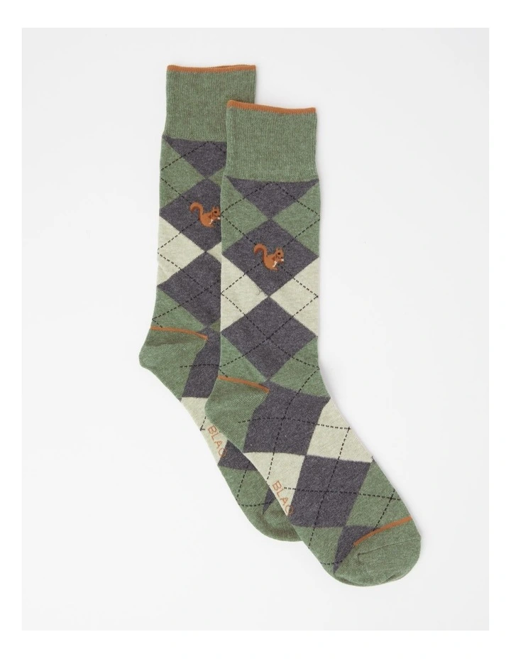 Argyle Squirrel Socks in Night Moss Marle