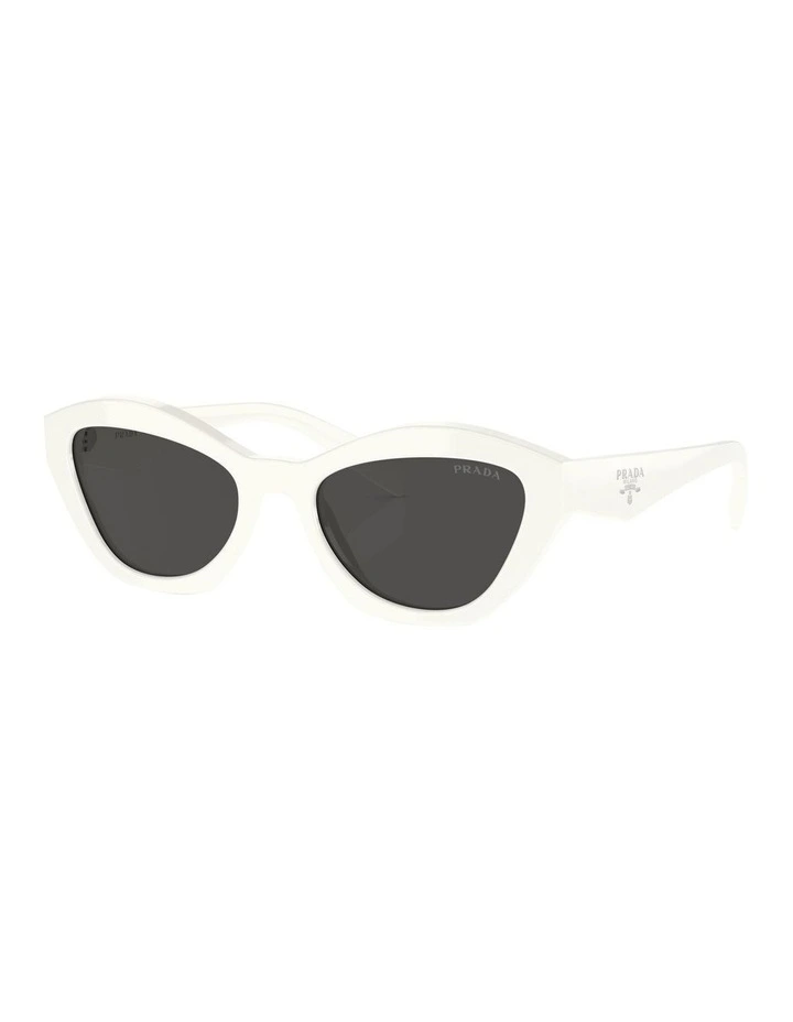 PR A02S Sunglasses in White
