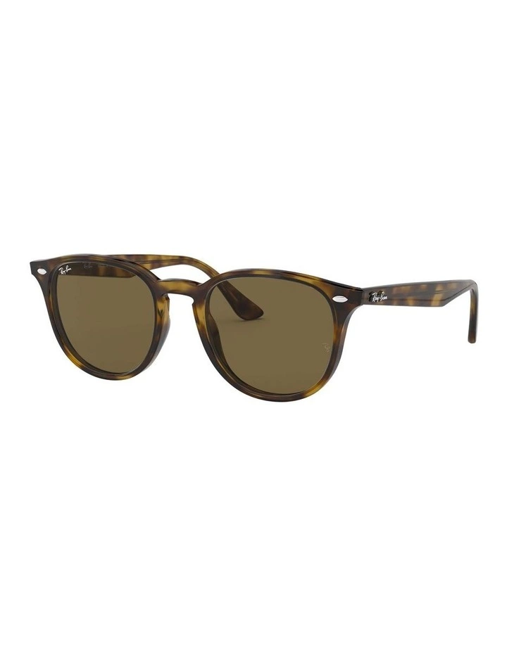 RB4259 Brown Sunglasses
