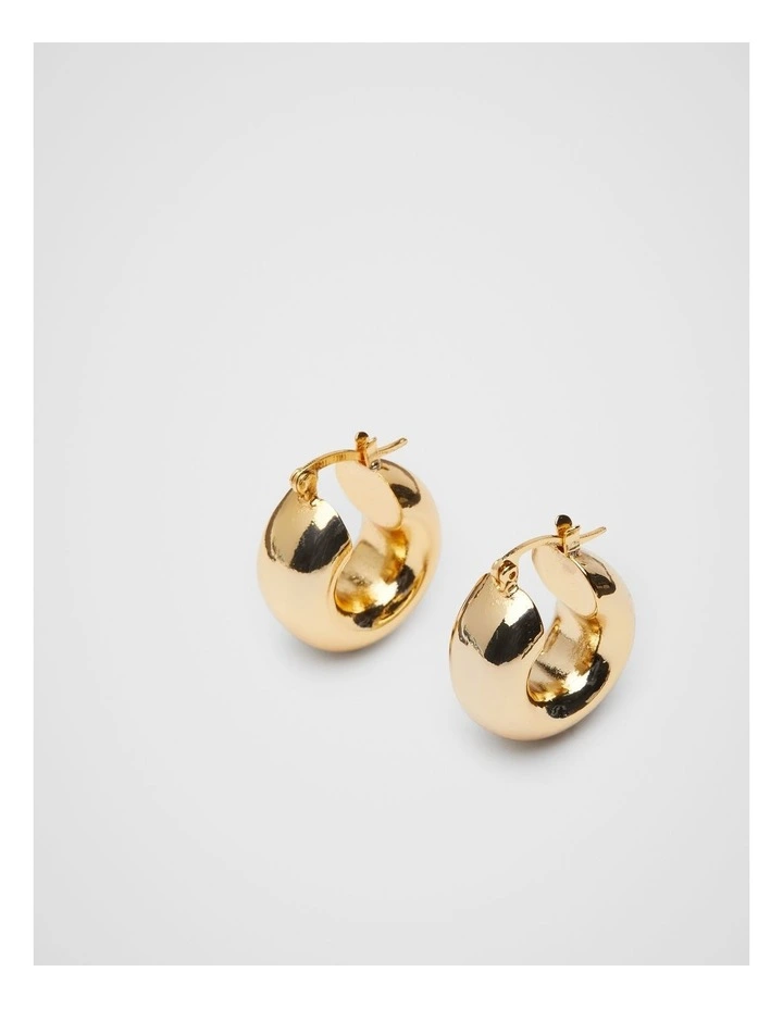 Organic Hoops in Gold