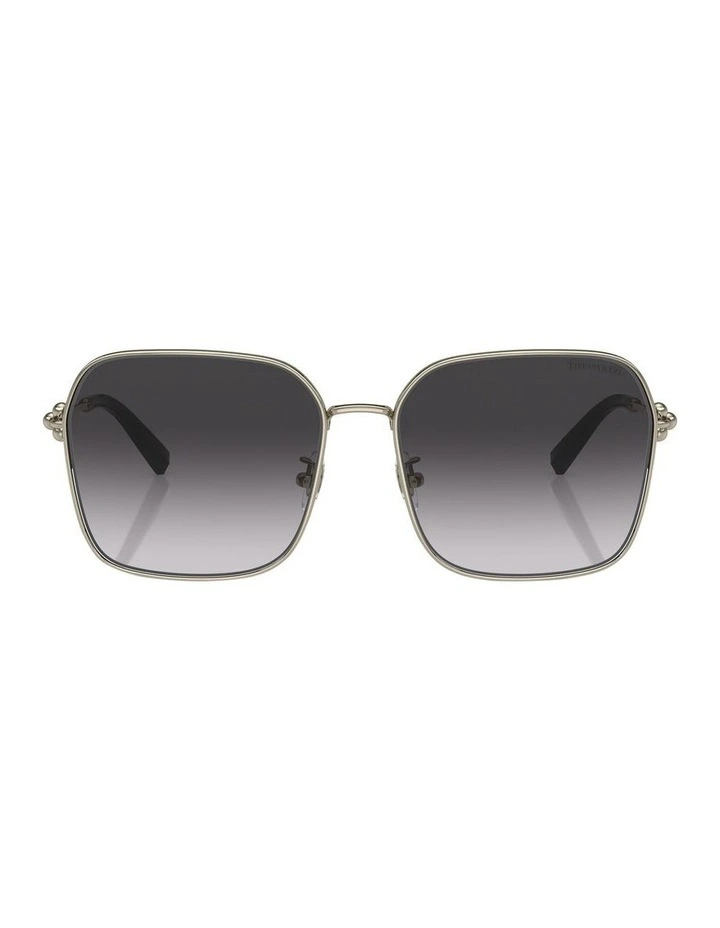 TF3093D Sunglasses in Gold