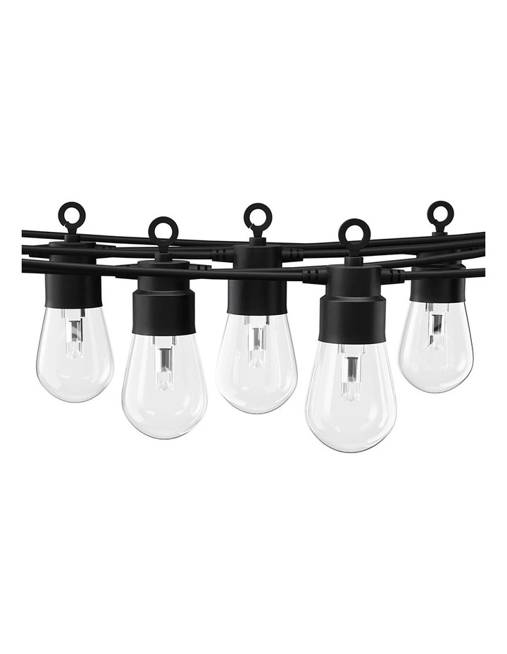 LED String RGB Smart Festoon Waterproof Lights in Black