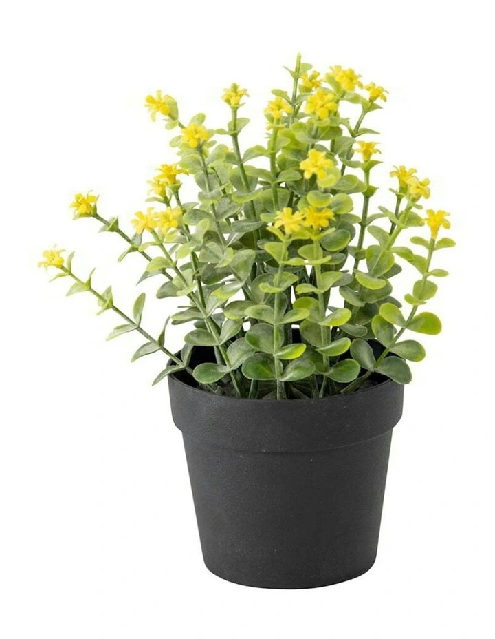 Artificial Wild Flower Pot Plant in Black