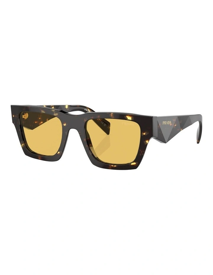 PR A06S Sunglasses in Brown