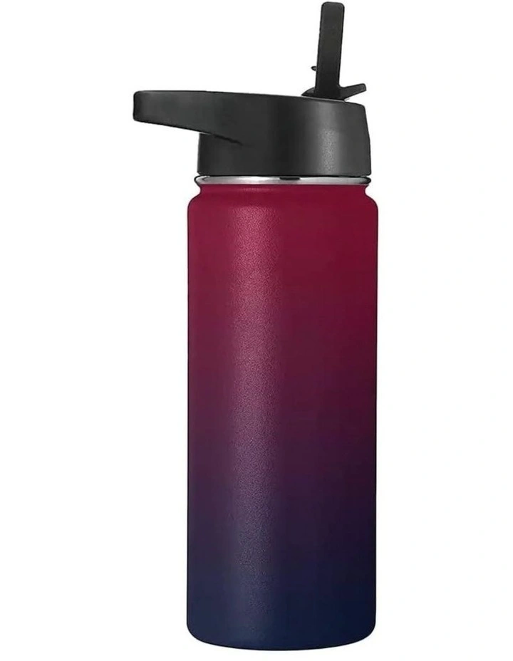 40oz Vacuum Insulated Water Bottle 3 Lids Straw in Multi