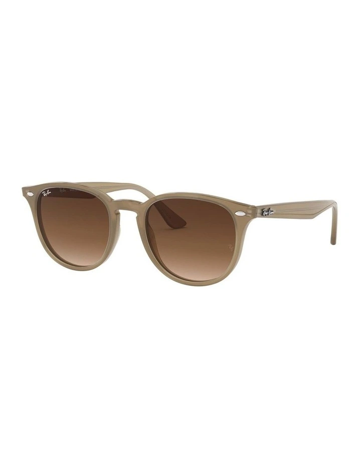 RB4259 Brown Sunglasses