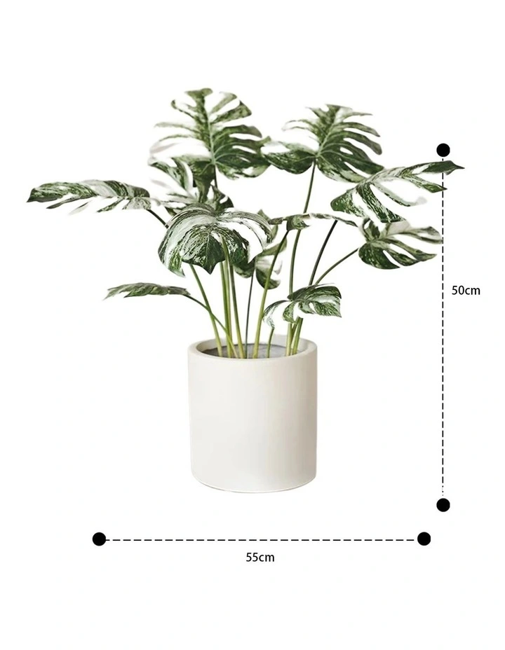 Monstera Albo Faux Plant with Ceramic Pot in White/Green