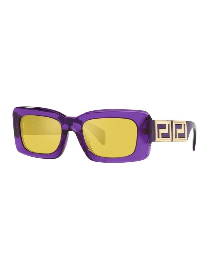 VE4444U Sunglasses in Violet