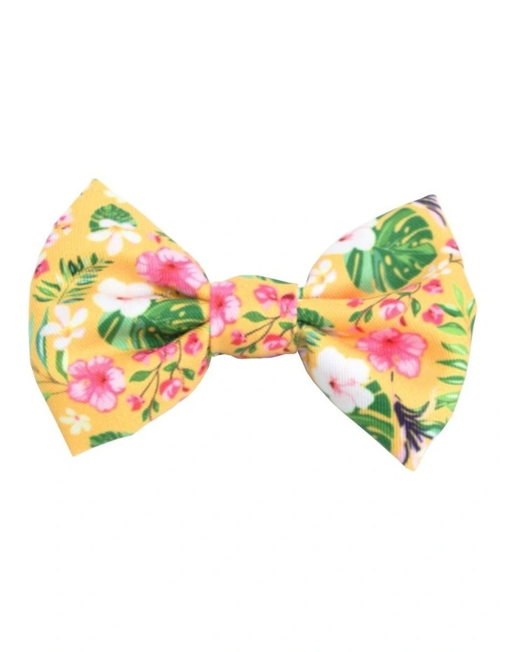 Summer Sunrise Cat Bow tie