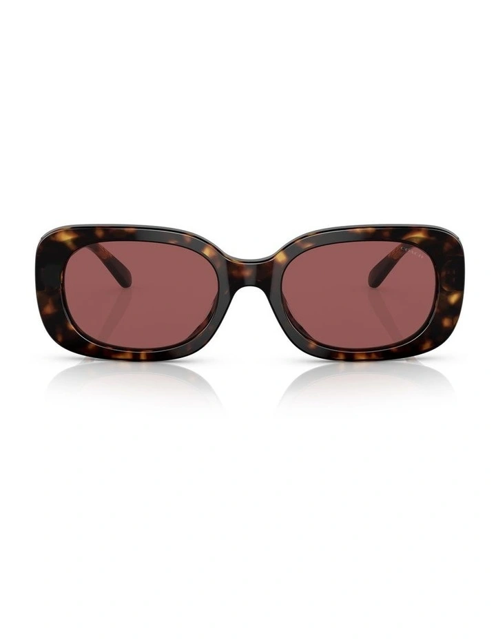 CD471 Sunglasses in Dark Tortoise