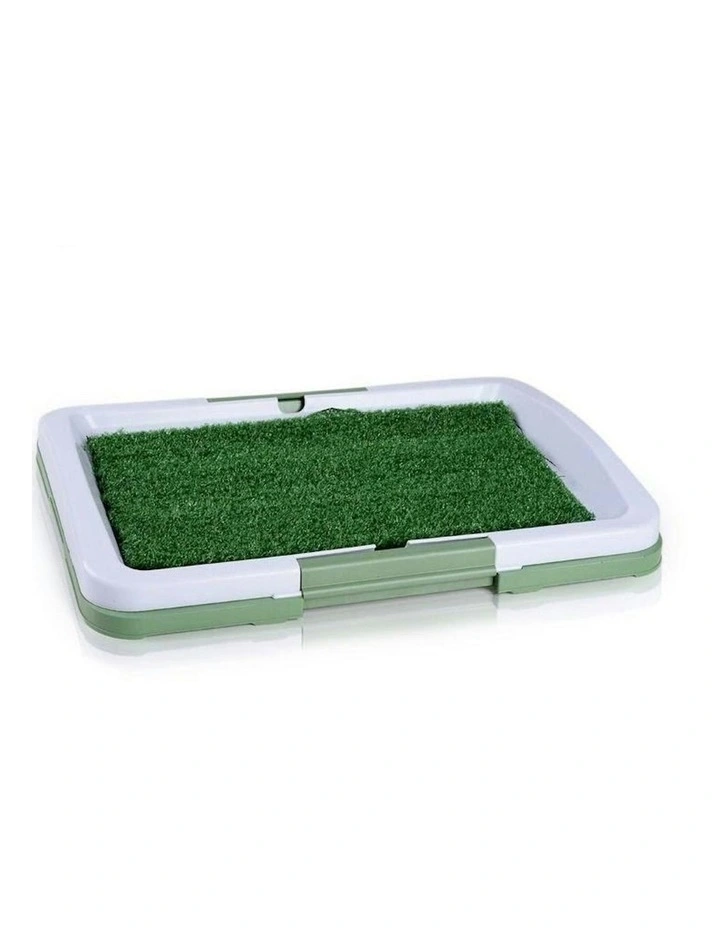 Portable Dog Toilet Training Mat in Green
