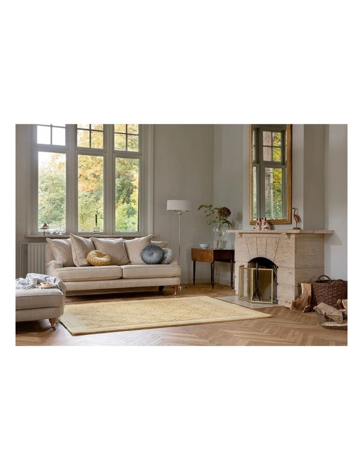 Catarina Design Rug 080806 in Gold