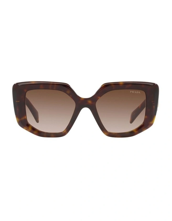 0PR 14ZSF Sunglasses in Tortoise