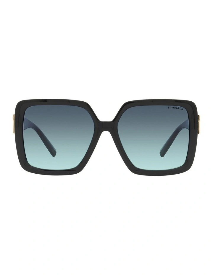 TF4206U Sunglasses in Black