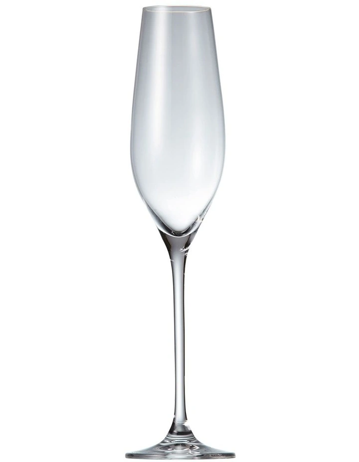 Cuvee Set of 6 Champagne Flute