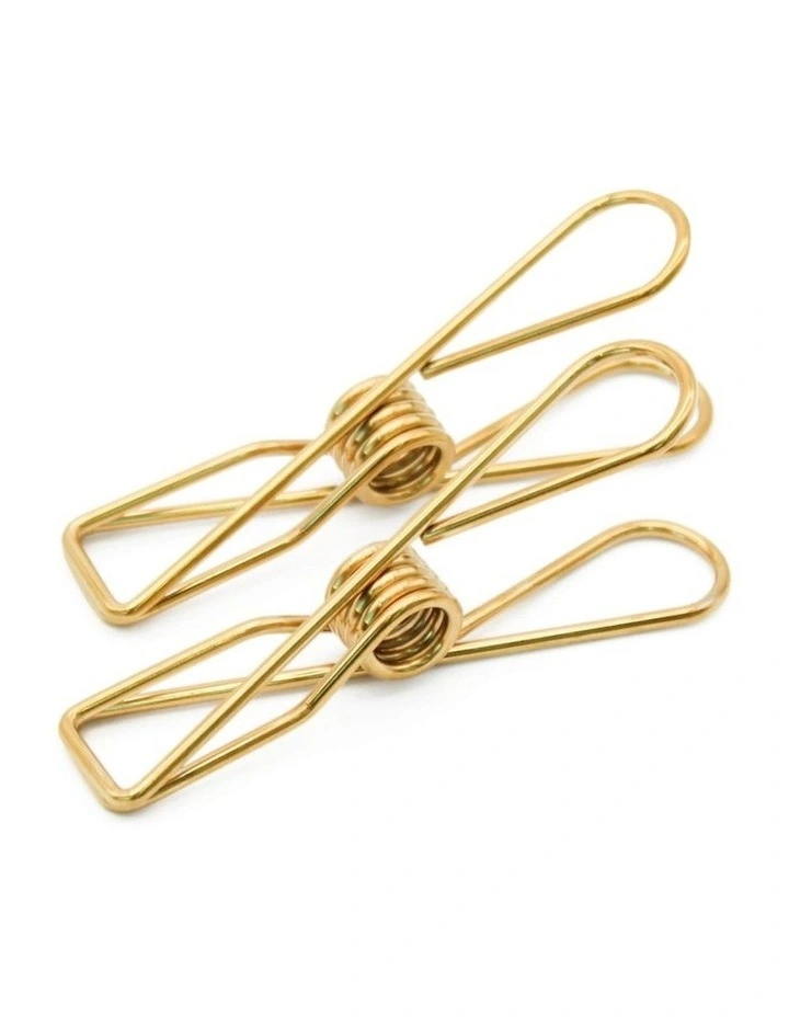 Large Stainless Steel Pegs 40 Pack in Gold