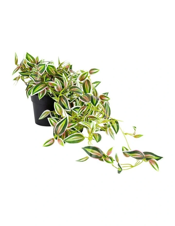 Hanging Artificial Verigated Weeper Pott in Green