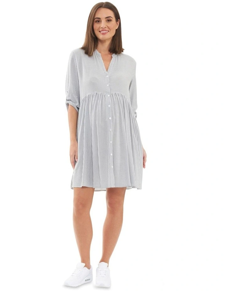 Sam Stripe Dress in Slate/White