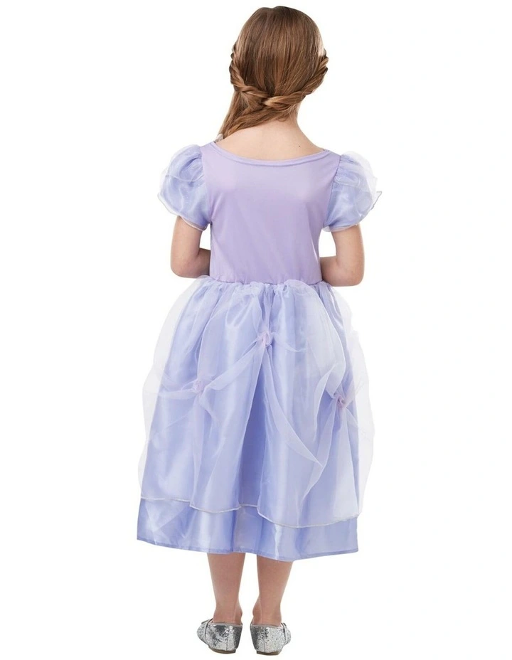 Clara From the Nutcracker Ballet Dress Costume