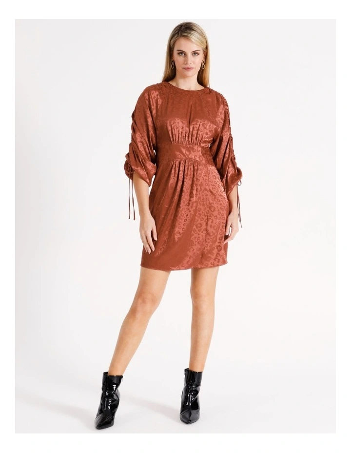 Ruched Sleeve Detail Dress in Brown