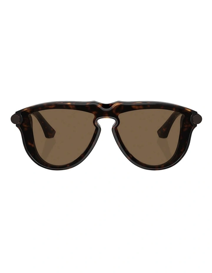 BE4427 Sunglasses in Brown