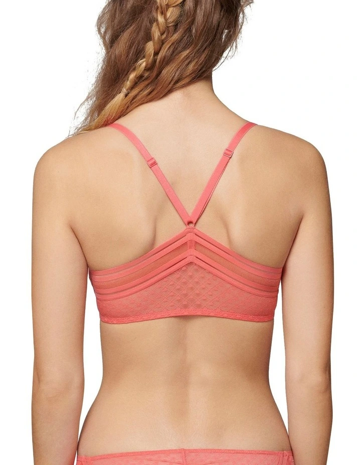 Iris Soft Cup Triangle Bra in Pink