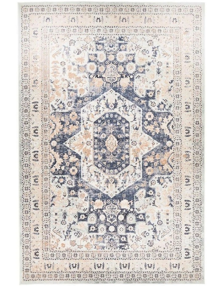 Providence Esquire Brushed Traditional Rug in Multi