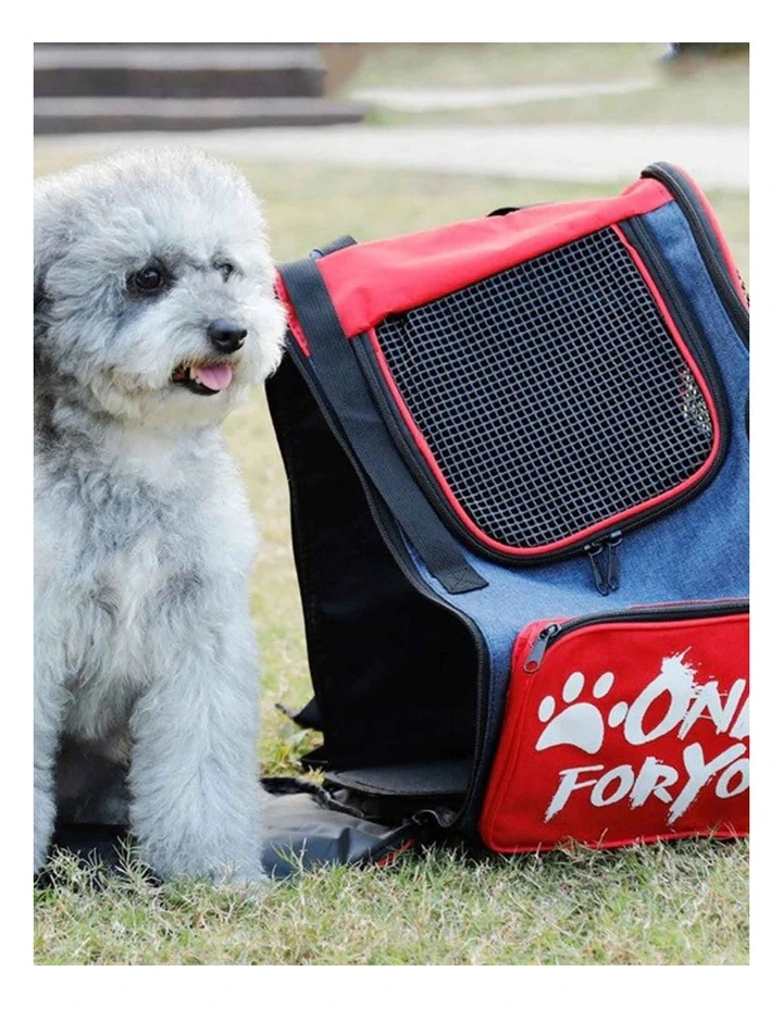 Portable Breathable Mesh Pet Carrier Backpack in Red