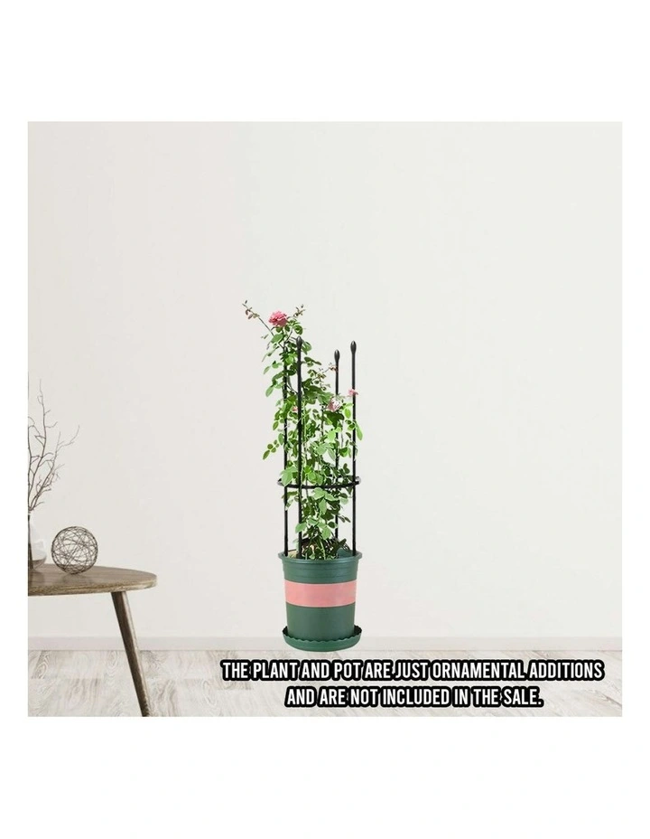 4-Bar Plant Frame Stand With Rings 73cm in Black